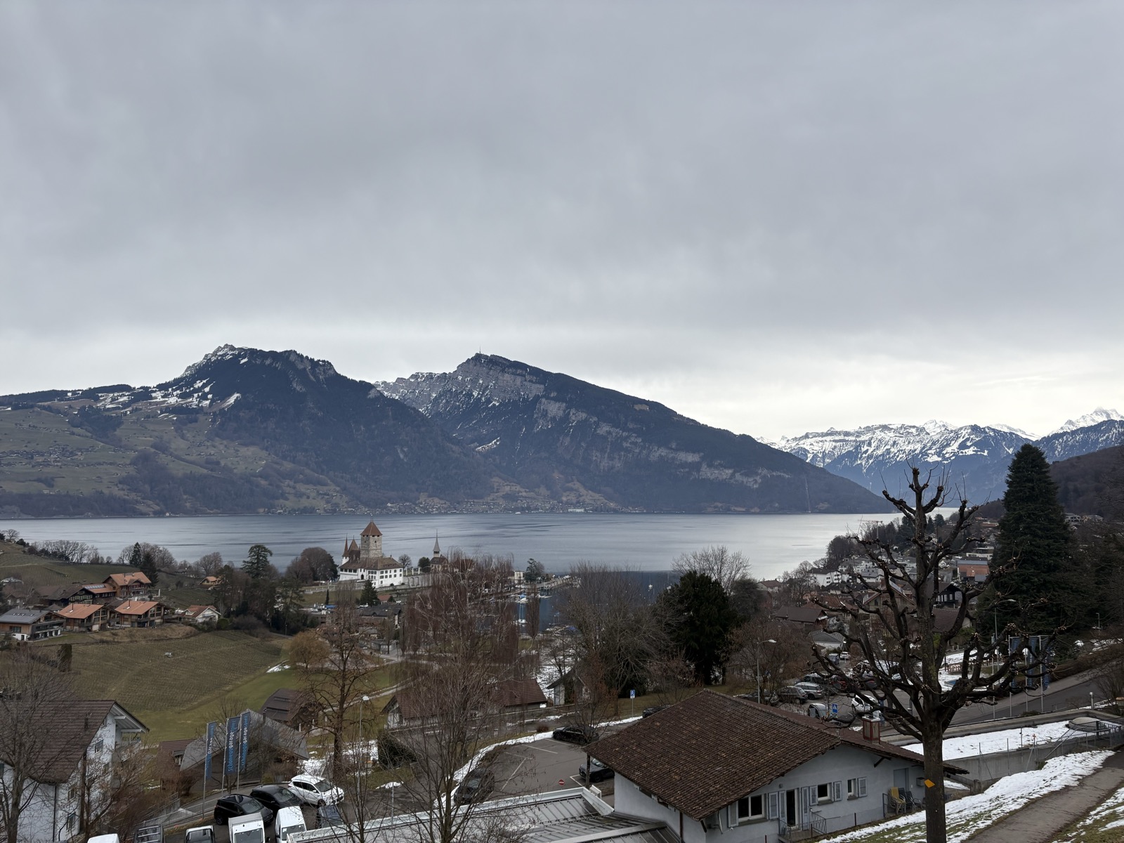 Spiez kasabası ve Thunersee gölü, kar kaplı Alpler