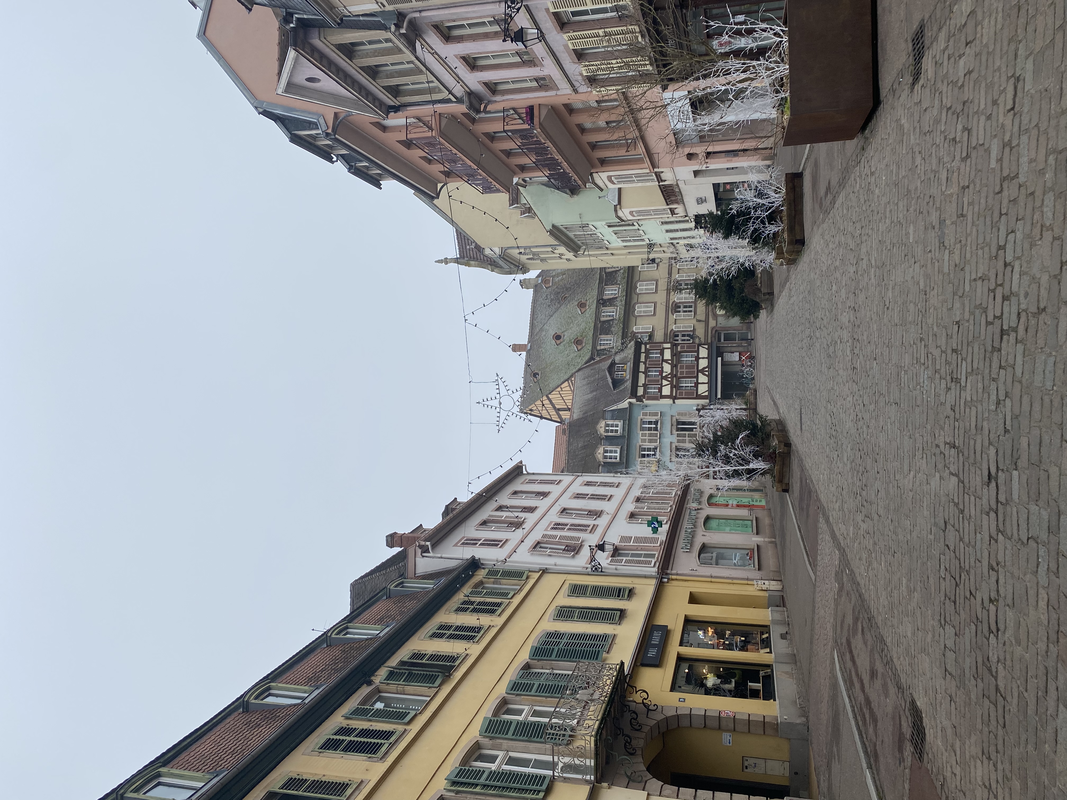 Colmar eski şehir sokağı, renkli yarı ahşap Alsace evleri